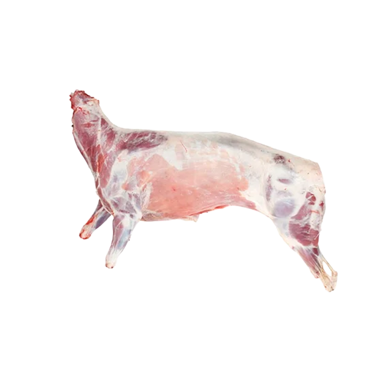 Whole Lamb