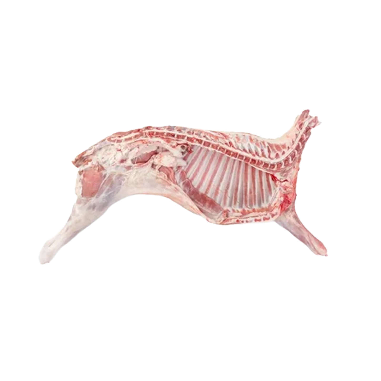 Half Lamb