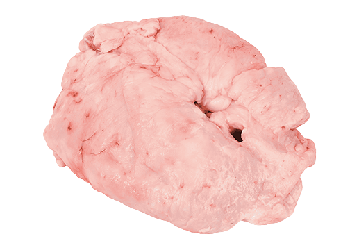 Lamb Tail Fat