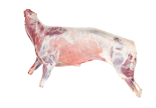 Whole Lamb
